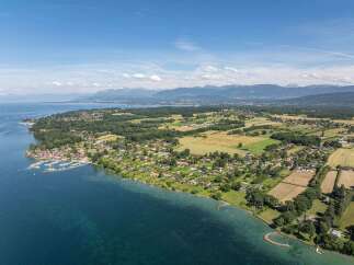 Discover luxury lakeside living with this stunning aerial view of waterfront homes.