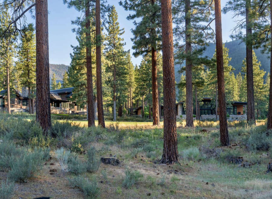 Discover luxury living nestled among towering pines.