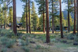 Discover luxury living nestled among towering pines.
