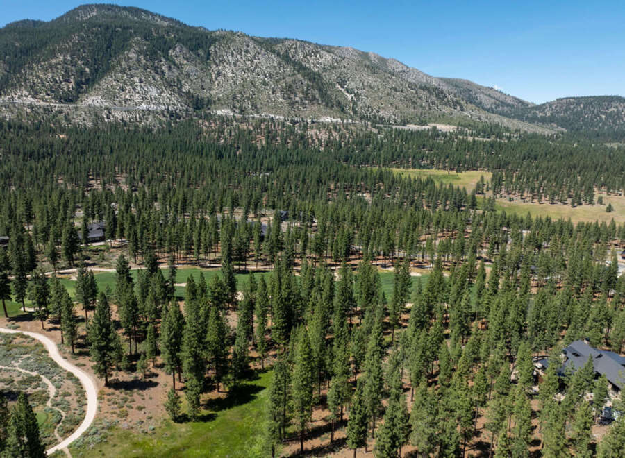 This aerial view showcases a stunning property nestled within a dense forest, with the backdrop of majestic mountains under a clear blue sky.