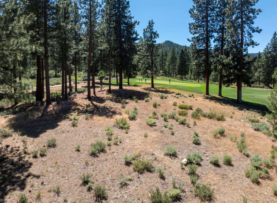 Discover a stunning property nestled among towering trees, offering a serene escape with picturesque golf course views.
