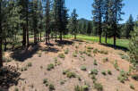 Discover a stunning property nestled among towering trees, offering a serene escape with picturesque golf course views.