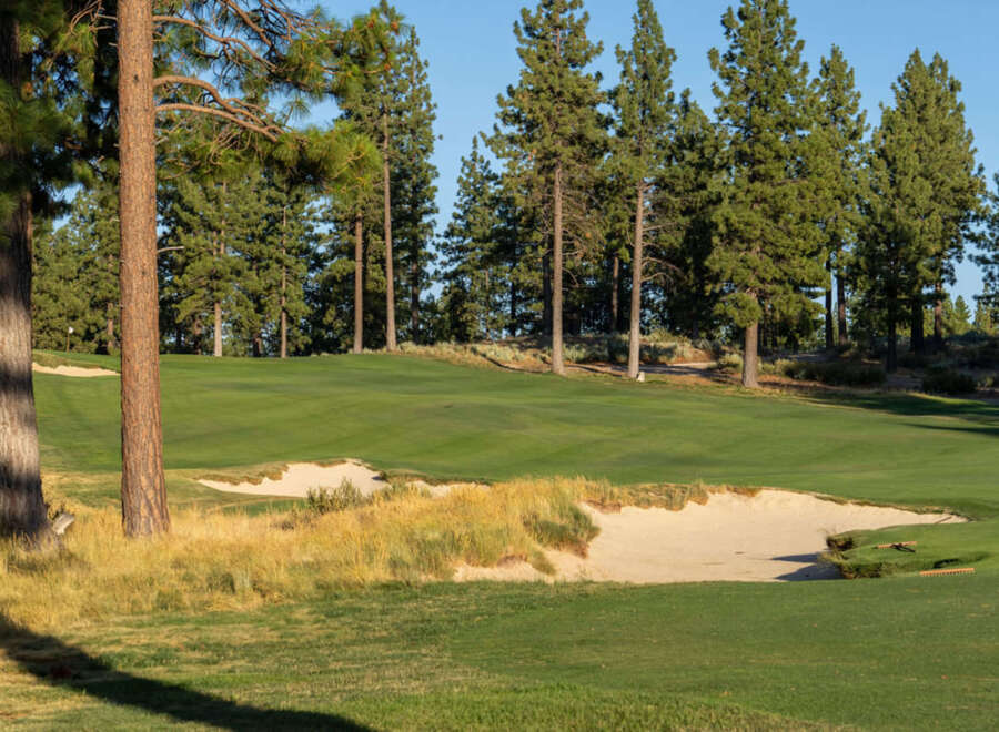 Discover luxury living in this golf course community, where lush fairways meet majestic trees.