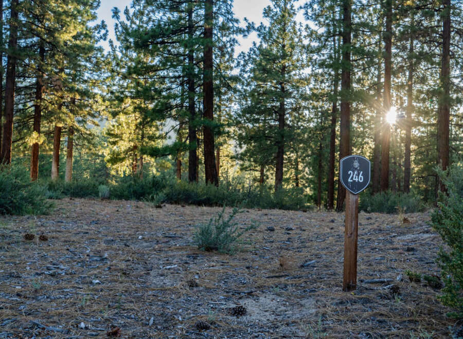 Discover this serene property nestled in a tranquil wooded setting, perfect for building your dream home.