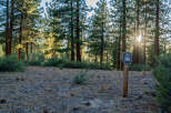 Discover this serene property nestled in a tranquil wooded setting, perfect for building your dream home.