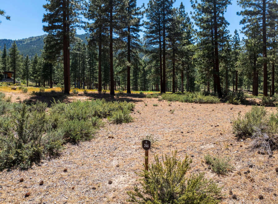 Discover the perfect homesite nestled in a serene forest setting, offering peace and privacy.