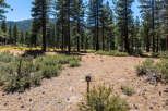Discover the perfect homesite nestled in a serene forest setting, offering peace and privacy.