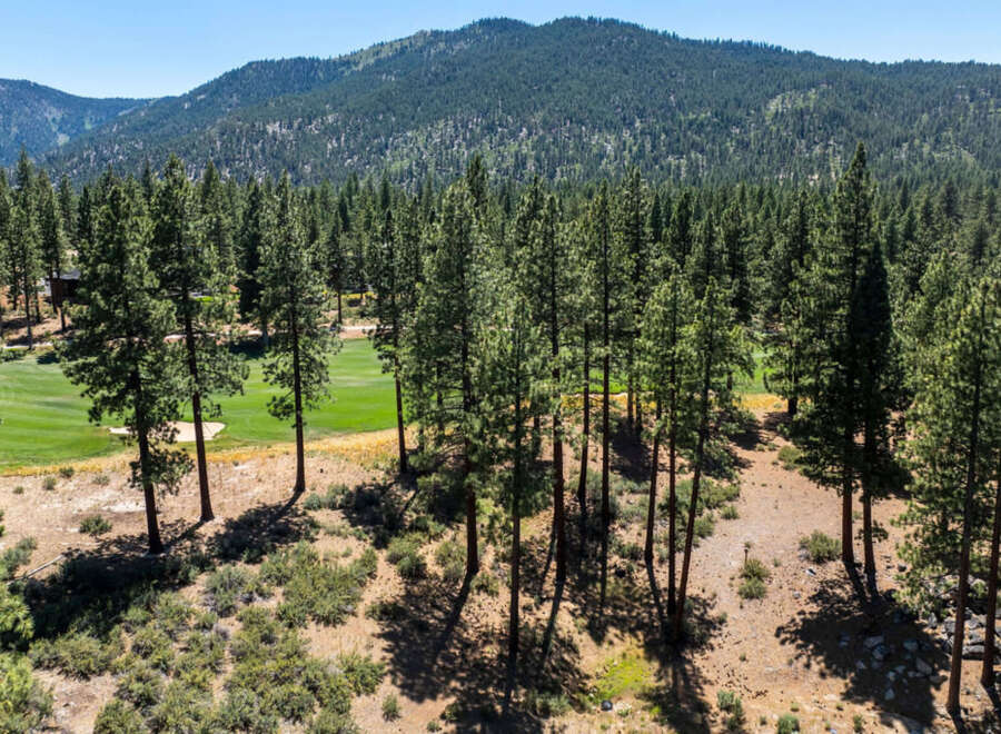 Experience luxury living with breathtaking golf course views nestled among towering pines.