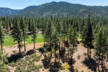Experience luxury living with breathtaking golf course views nestled among towering pines.