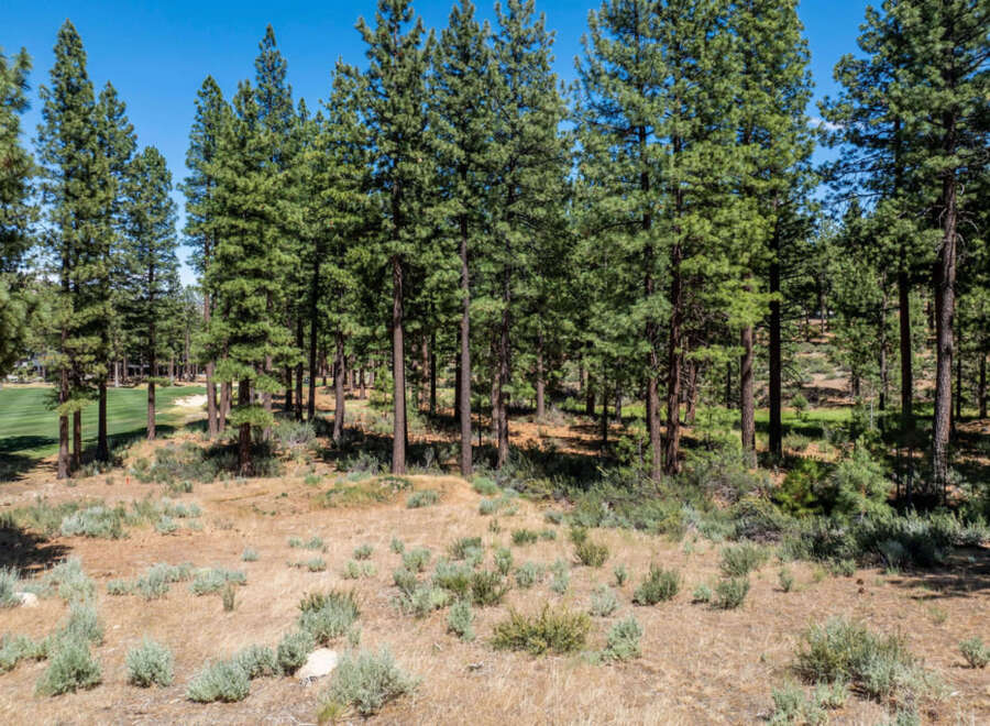 Secluded homesite nestled among towering pine trees offers a serene escape.