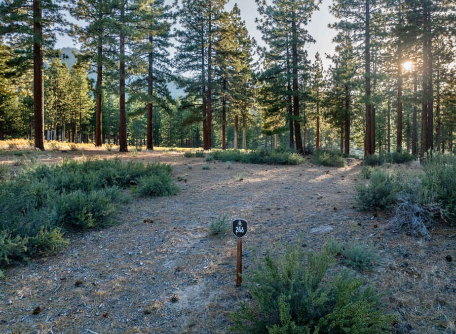 Discover the perfect homesite nestled among towering pines.
