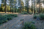 Discover the perfect homesite nestled among towering pines.