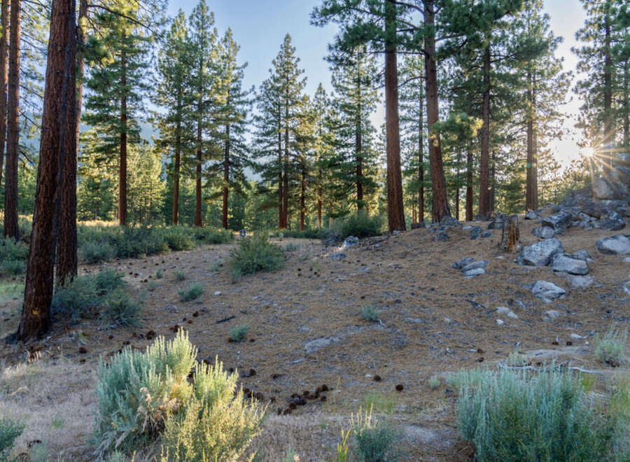Discover serenity in this wooded property, perfect for building your dream cabin.