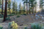 Discover serenity in this wooded property, perfect for building your dream cabin.