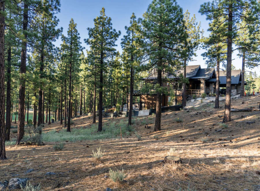 Nestled among towering pines, this mountain home offers a serene escape.