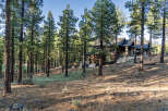 Nestled among towering pines, this mountain home offers a serene escape.