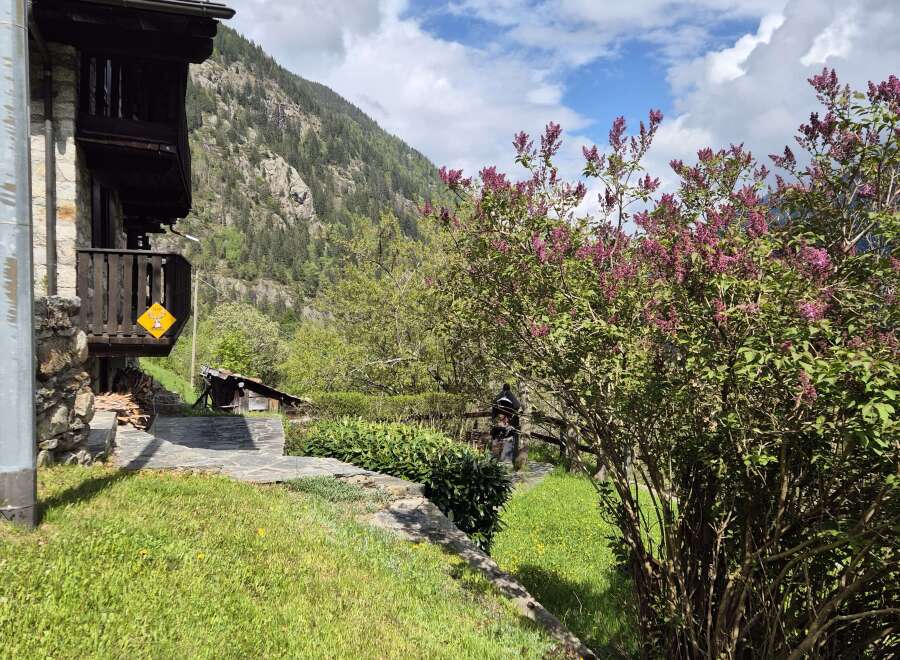 Nestled in a serene mountain setting, this charming property boasts a stone facade and lush greenery.