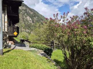Nestled in a serene mountain setting, this charming property boasts a stone facade and lush greenery.