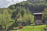 Escape to this charming mountain cabin nestled amidst lush greenery.