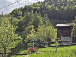 Escape to this charming mountain cabin nestled amidst lush greenery.