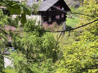 Nestled among lush greenery, this charming property offers tranquility and privacy.