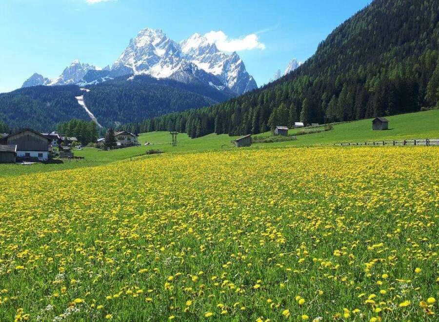 Discover your dream property nestled in this breathtaking landscape.