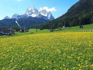 Discover your dream property nestled in this breathtaking landscape.