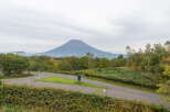 Enjoy breathtaking views of Mount Yotei from this serene property.