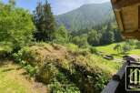 This property offers stunning views of the lush green landscape, including rolling hills and a vibrant forest.