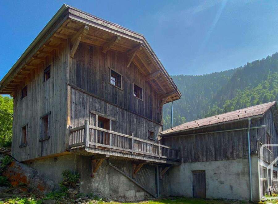 Discover this unique mountain property, a rustic wooden chalet nestled amidst lush greenery.