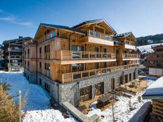 Discover the epitome of alpine luxury in this stunning wooden chalet.