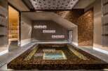 This luxurious home spa features a sauna, a cold plunge pool with mosaic tile accents, and decorative ceiling and wall panels that create a relaxing ambiance.