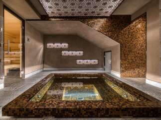 This luxurious home spa features a sauna, a cold plunge pool with mosaic tile accents, and decorative ceiling and wall panels that create a relaxing ambiance.