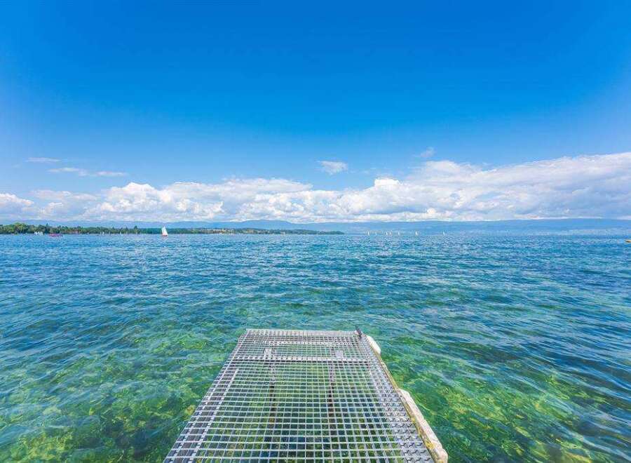 This is a picturesque view of a metal pier extending into a serene body of water.