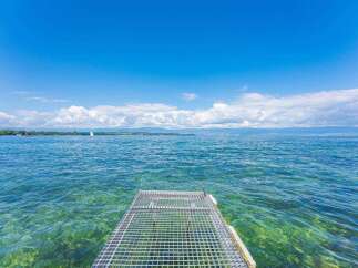 This is a picturesque view of a metal pier extending into a serene body of water.