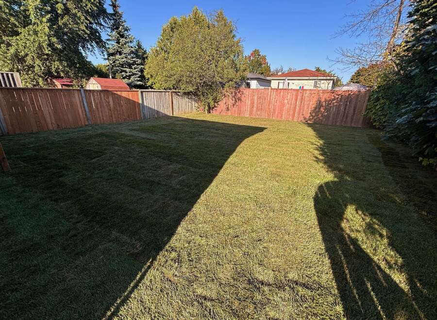 Enjoy the tranquility of this spacious backyard, perfect for outdoor activities and relaxation.