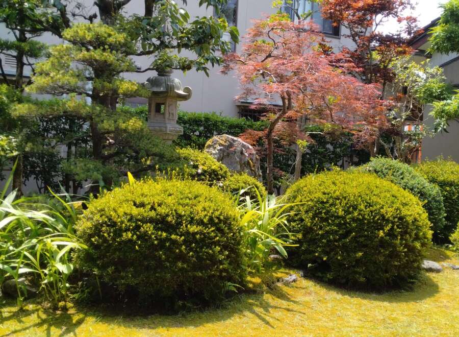 Discover the tranquility of this meticulously landscaped Japanese garden, a serene oasis perfect for relaxation and contemplation.