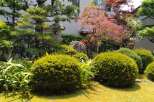 Discover the tranquility of this meticulously landscaped Japanese garden, a serene oasis perfect for relaxation and contemplation.