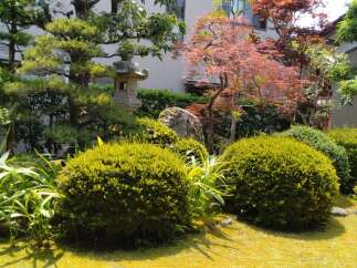 Discover the tranquility of this meticulously landscaped Japanese garden, a serene oasis perfect for relaxation and contemplation.