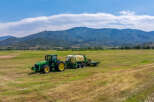 Experience the tranquility of rural living with this expansive property, perfect for agricultural endeavors.