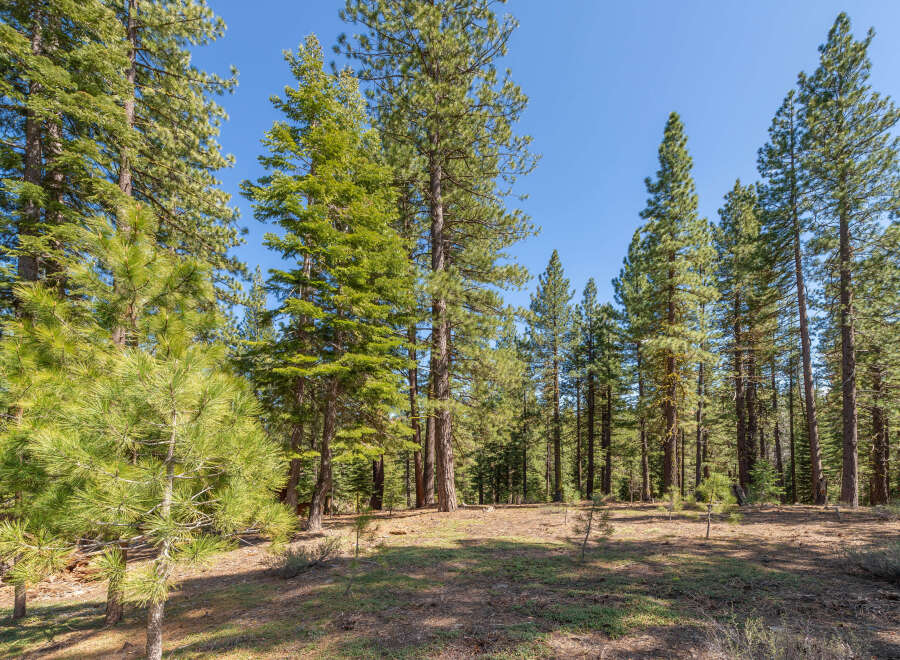 Explore the tranquility of this stunning forest property, perfect for nature enthusiasts and those seeking a peaceful retreat.