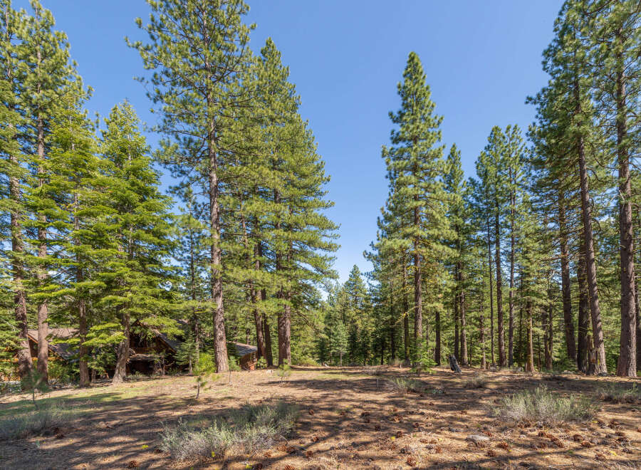 Discover the tranquility of this stunning property nestled amidst a lush forest.