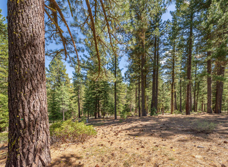 Discover the tranquility of this stunning forest property, perfect for nature lovers and outdoor enthusiasts.