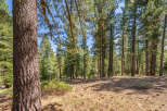 Discover the tranquility of this stunning forest property, perfect for nature lovers and outdoor enthusiasts.