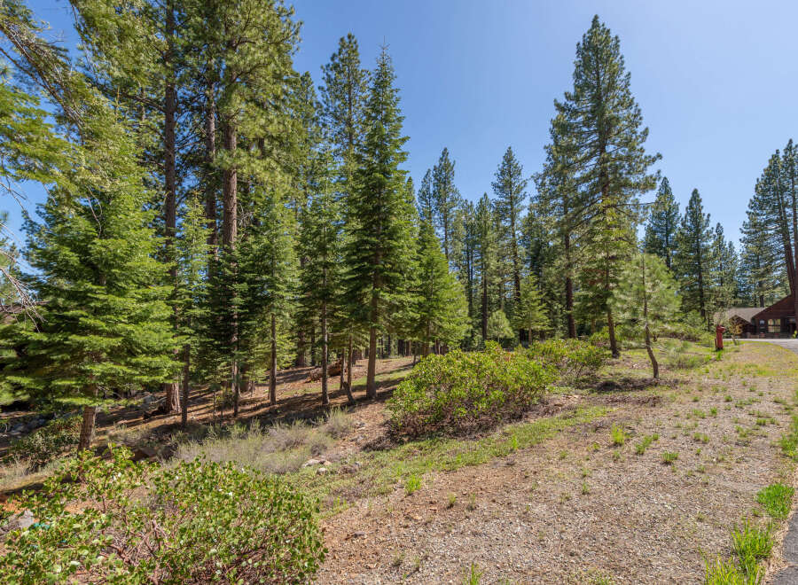 Nestled amidst towering pine trees, this property offers a serene escape into nature.