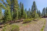 Nestled amidst towering pine trees, this property offers a serene escape into nature.