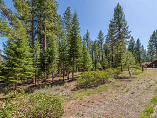 Nestled amidst towering pine trees, this property offers a serene escape into nature.