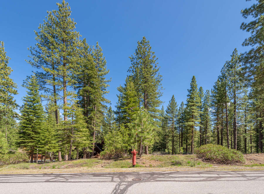 Nestled amidst a serene forest, this property offers a tranquil escape.