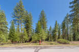 Nestled amidst a serene forest, this property offers a tranquil escape.