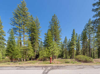 Nestled amidst a serene forest, this property offers a tranquil escape.